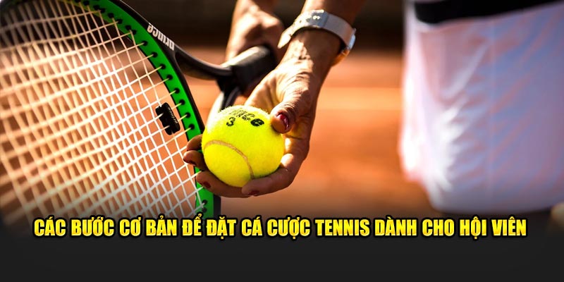 cac-buoc-co-ban-de-dat-ca-cuoc-tennis-danh-cho-hoi-vien