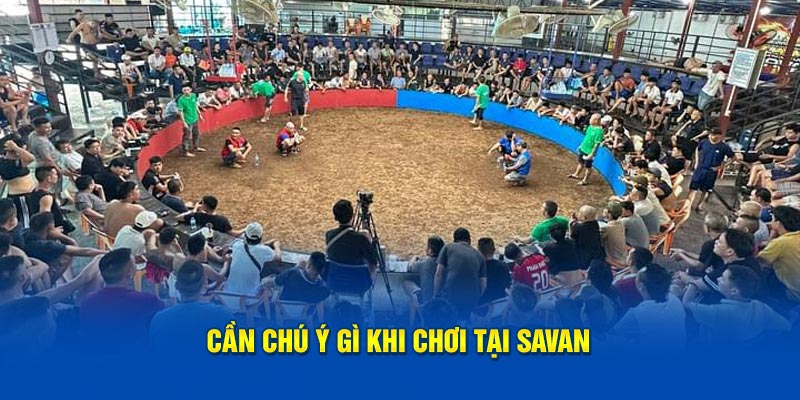 can-chu-y-gi-khi-choi-tai-savan