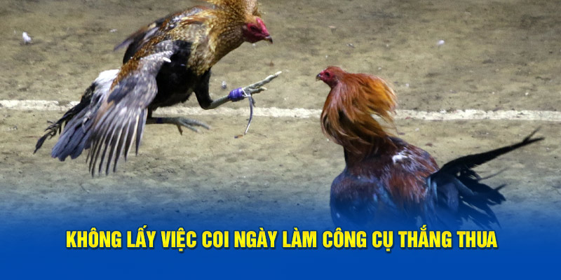 khong-lay-viec-coi-ngay-lam-cong-cu-thang-thua