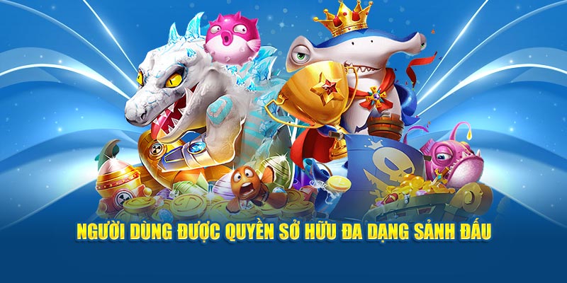 nguoi-dung-duoc-quyen-so-huu-da-dang-sanh-dau