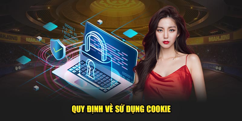 quy-dinh-ve-su-dung-cookie