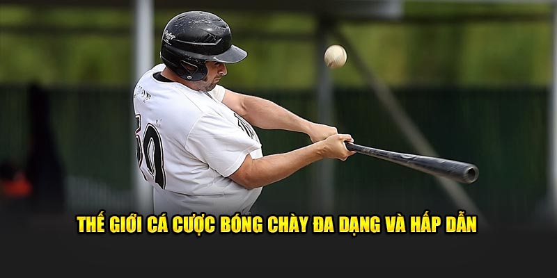 the-gioi-ca-cuoc-bong-chay-da-dang-va-hap-dan