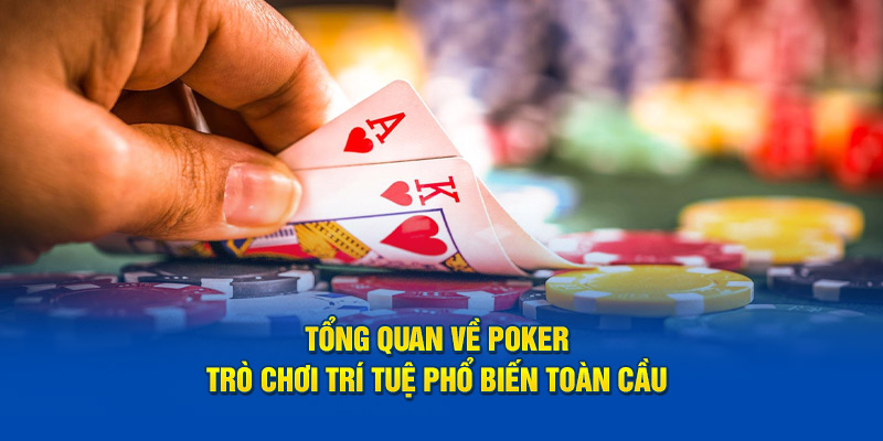 tong-quan-ve-poker-tro-choi-tri-tue-pho-bien-toan-cau