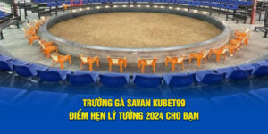 truong-ga-savan-hubet-diem-hen-ly-tuong-2024-cho-ban